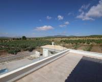 Nieuw gebouw - Villa - Pinoso - 