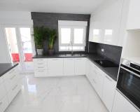 Nieuw gebouw - Villa - Pinoso - 