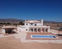 Nieuw gebouw - Villa - Pinoso - 