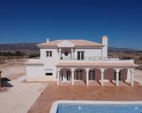 Nieuw gebouw - Villa - Pinoso - 