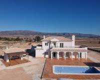 Nieuw gebouw - Villa - Pinoso - 