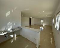 Nieuw gebouw - Villa - Pinoso - 