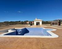 Nieuw gebouw - Villa - Pinoso - 