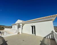 Nieuw gebouw - Villa - Pinoso - 