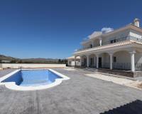 Nieuw gebouw - Villa - Pinoso - 