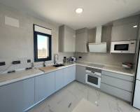 Nieuw gebouw - Villa - Pinoso - 