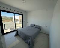 Nieuw gebouw - Villa - Pinoso - 