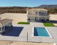 Nieuw gebouw - Villa - Pinoso - 