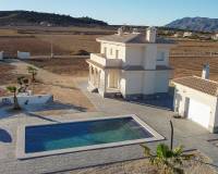 Nieuw gebouw - Villa - Pinoso - 