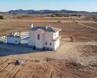 Nieuw gebouw - Villa - Pinoso - 