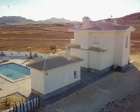 Nieuw gebouw - Villa - Pinoso - 