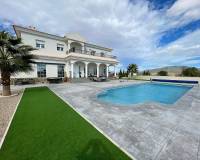 Nieuw gebouw - Villa - Pinoso - 