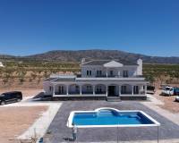 Nieuw gebouw - Villa - Pinoso - 