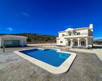 Nieuw gebouw - Villa - Pinoso - 