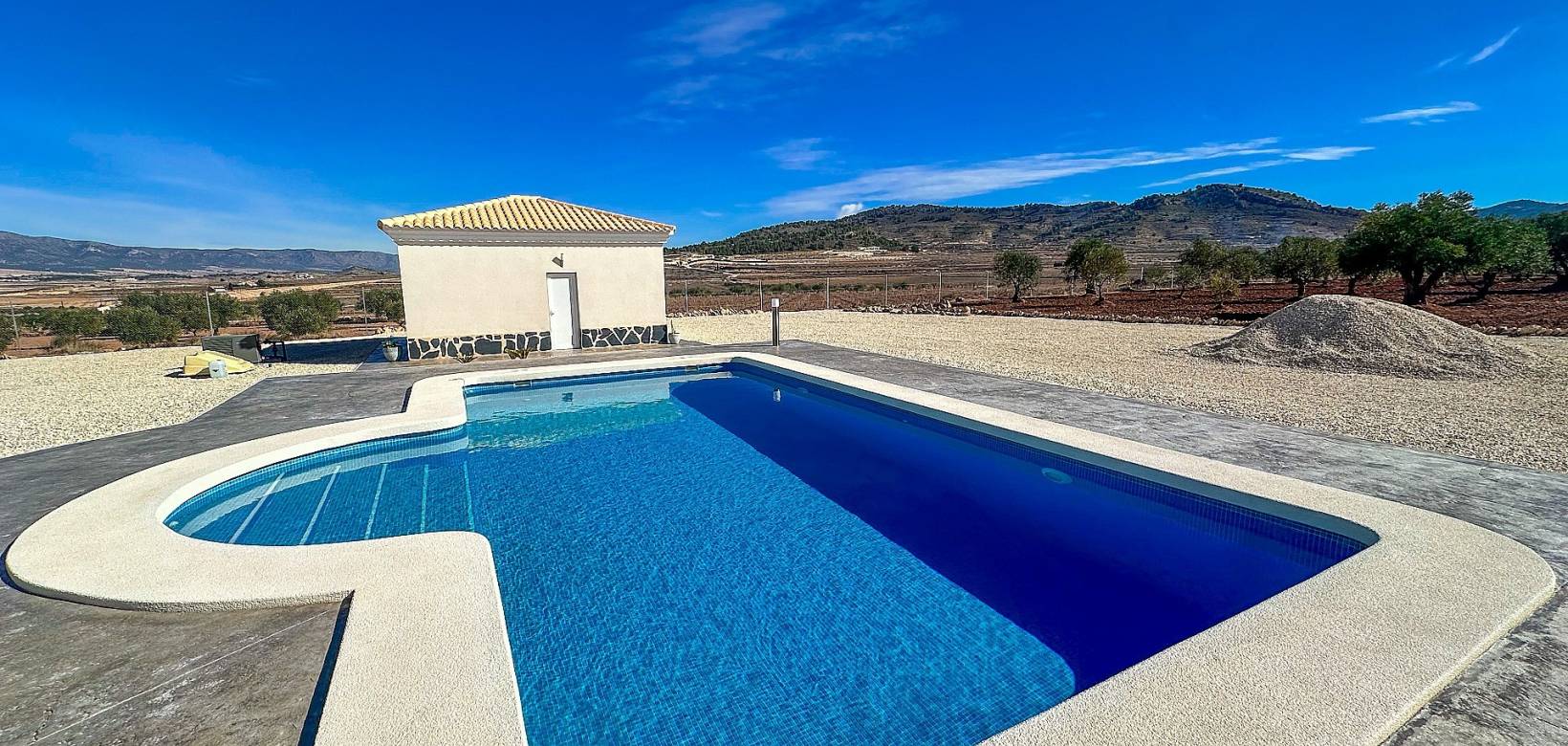 Nieuw gebouw - Villa - Pinoso - 