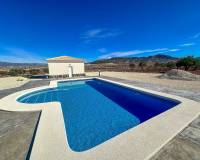 Nieuw gebouw - Villa - Pinoso - 