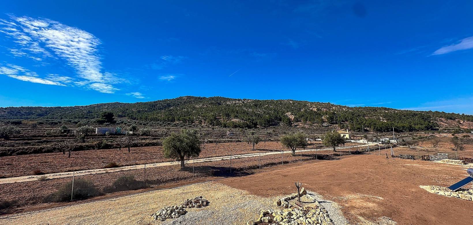 Nieuw gebouw - Villa - Pinoso - 