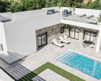 Nieuw gebouw - Villa - Pinoso - 