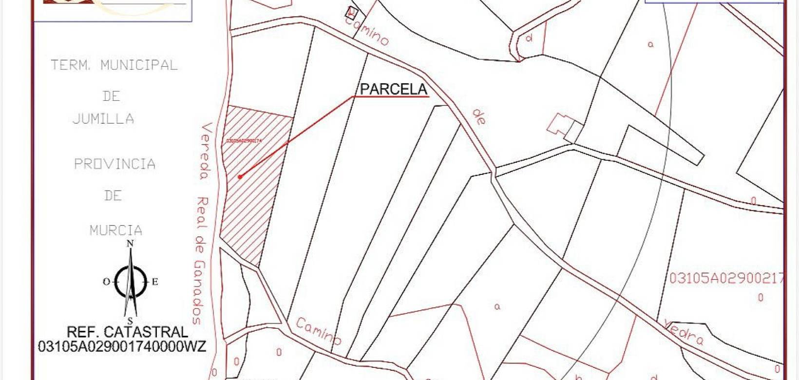 Nieuw gebouw - Villa - Pinoso - 