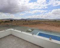 Nieuw gebouw - Villa - Pinoso - 