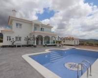 Nieuw gebouw - Villa - Pinoso - 