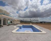 Nieuw gebouw - Villa - Pinoso - 