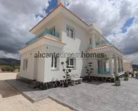 Nieuw gebouw - Villa - Pinoso - 