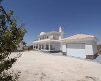 Nieuw gebouw - Villa - Pinoso - 