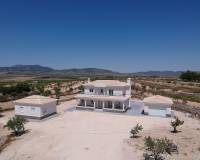 Nieuw gebouw - Villa - Pinoso - 