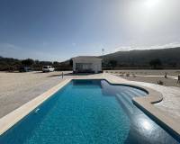 Nieuw gebouw - Villa - Pinoso - 