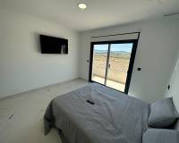 Nieuw gebouw - Villa - Pinoso - 