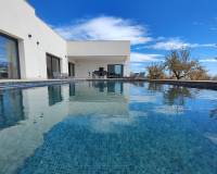 Nieuw gebouw - Villa - Pinoso - 