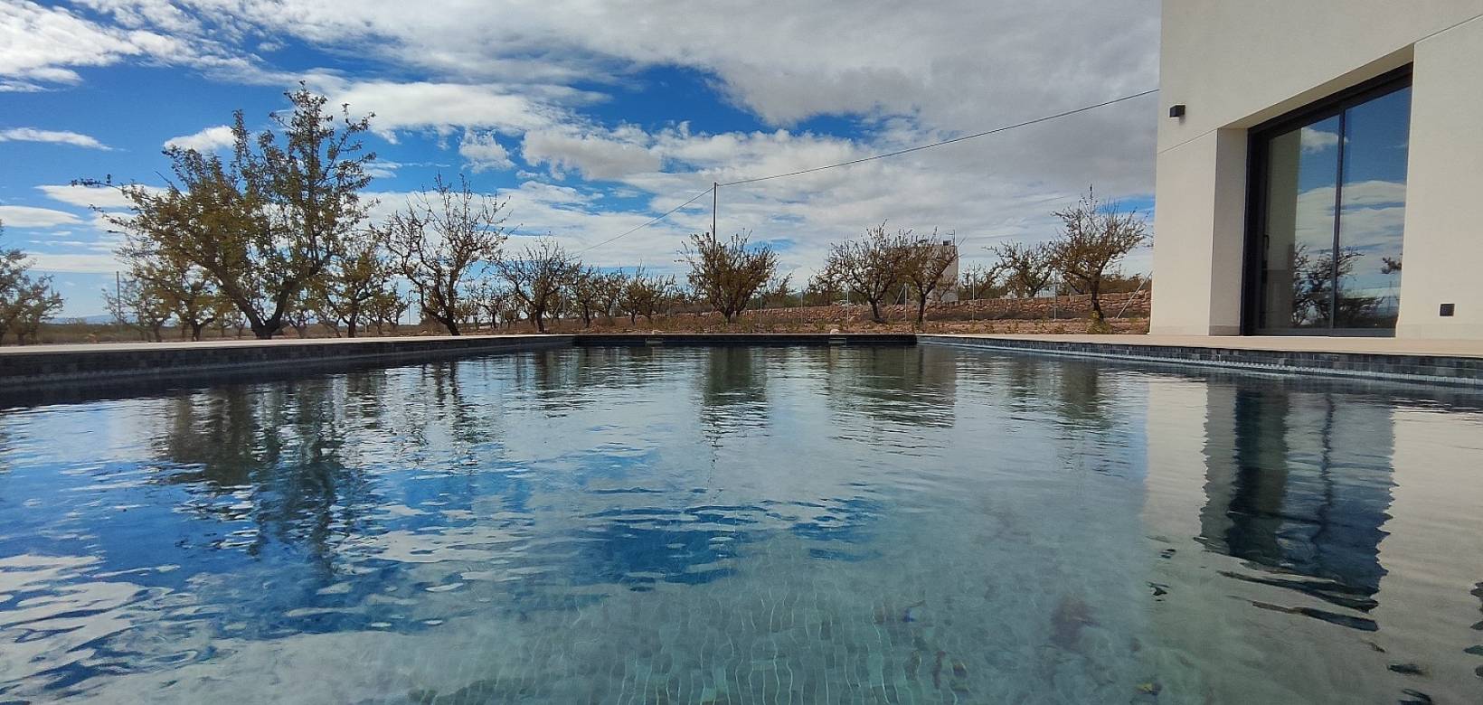 Nieuw gebouw - Villa - Pinoso - 