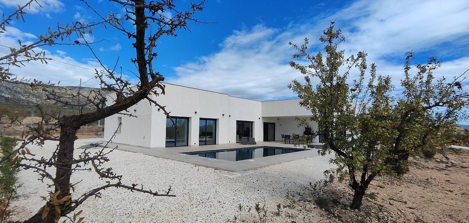 Nieuw gebouw - Villa - Pinoso - 