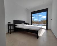 Nieuw gebouw - Villa - Pinoso - 