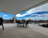 Nieuw gebouw - Villa - Pinoso - 