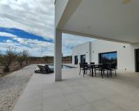 Nieuw gebouw - Villa - Pinoso - 