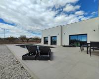 Nieuw gebouw - Villa - Pinoso - 