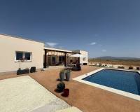 Nieuw gebouw - Villa - Pinoso - 