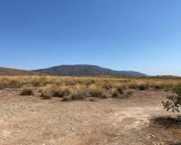 Nieuw gebouw - Villa - Pinoso - 