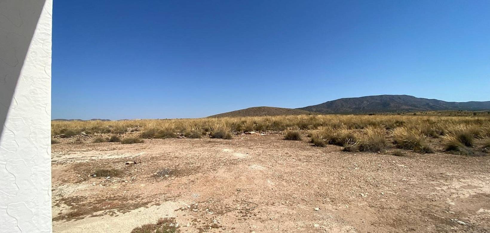 Nieuw gebouw - Villa - Pinoso - 