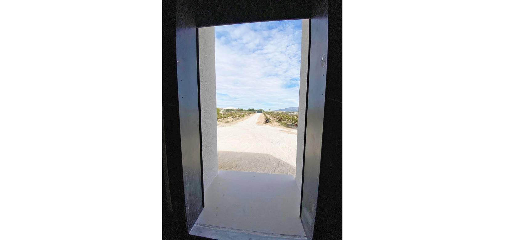 Nieuw gebouw - Villa - Pinoso - 