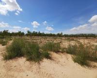 Nieuw gebouw - Villa - Pinoso - 