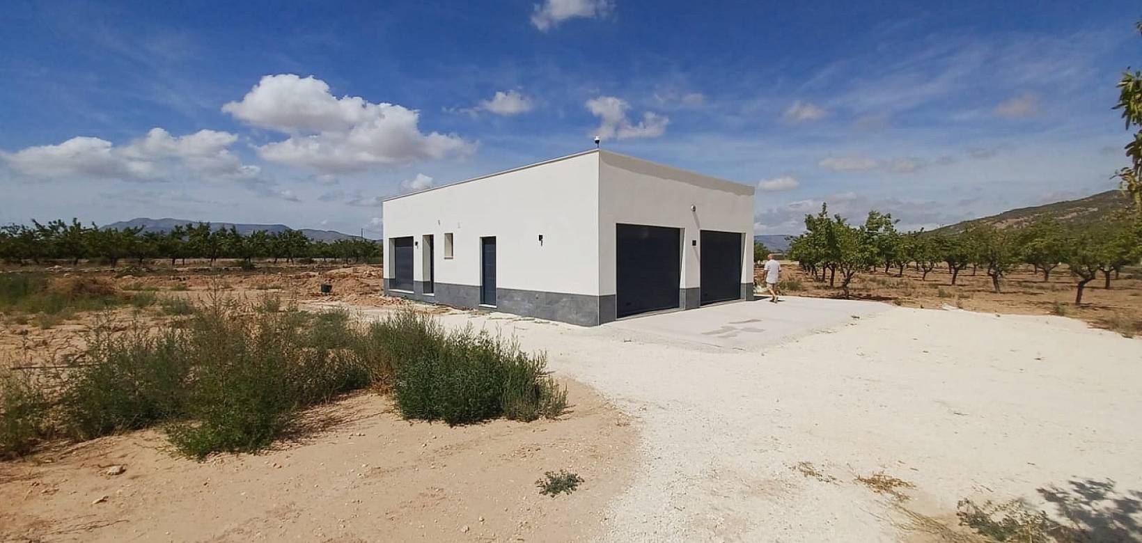 Nieuw gebouw - Villa - Pinoso - 