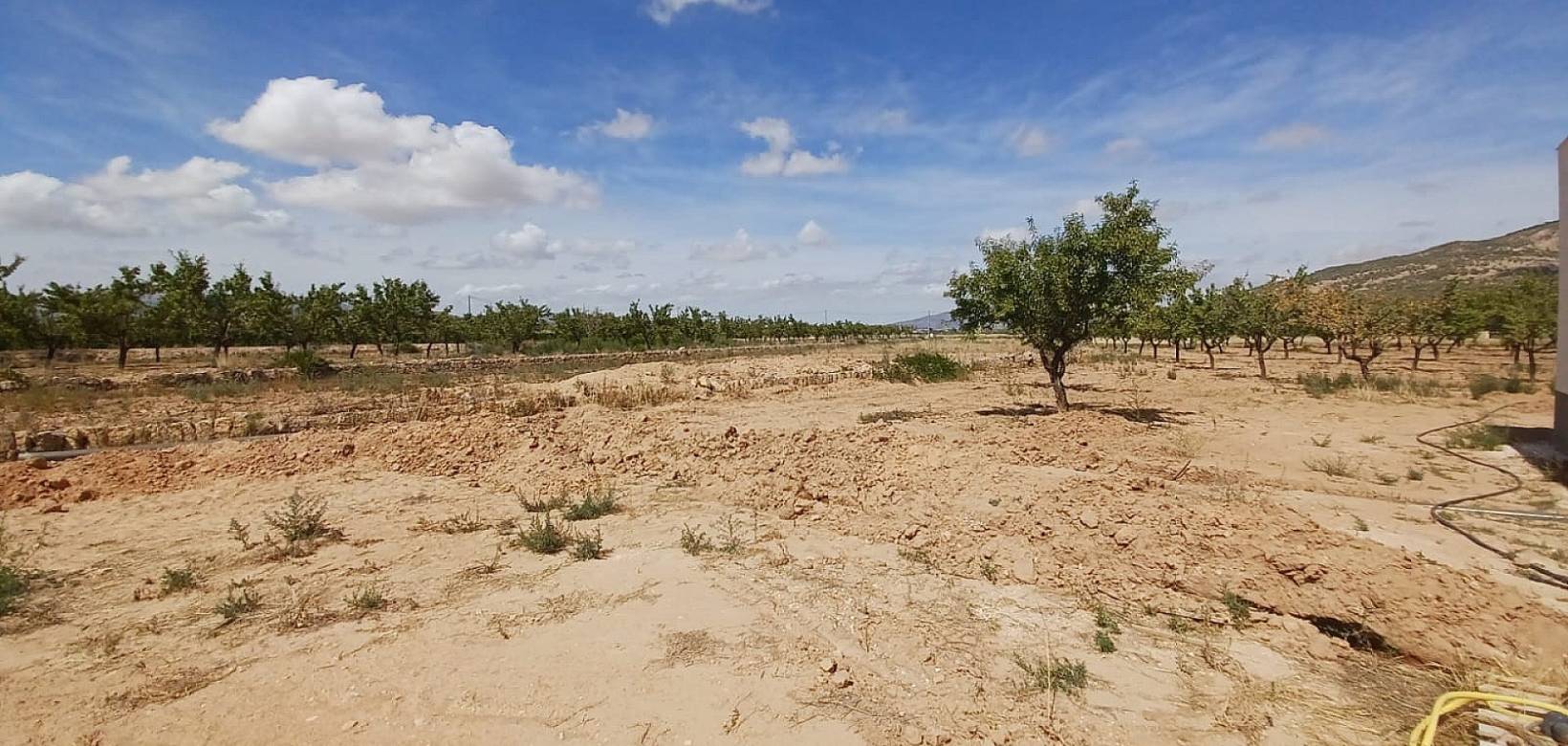 Nieuw gebouw - Villa - Pinoso - 