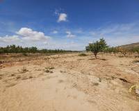 Nieuw gebouw - Villa - Pinoso - 