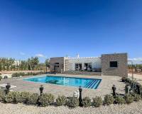 Nieuw gebouw - Villa - Pinoso - 