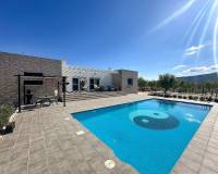 Nieuw gebouw - Villa - Pinoso - 