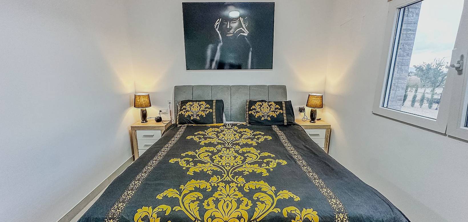 Nieuw gebouw - Villa - Pinoso - 