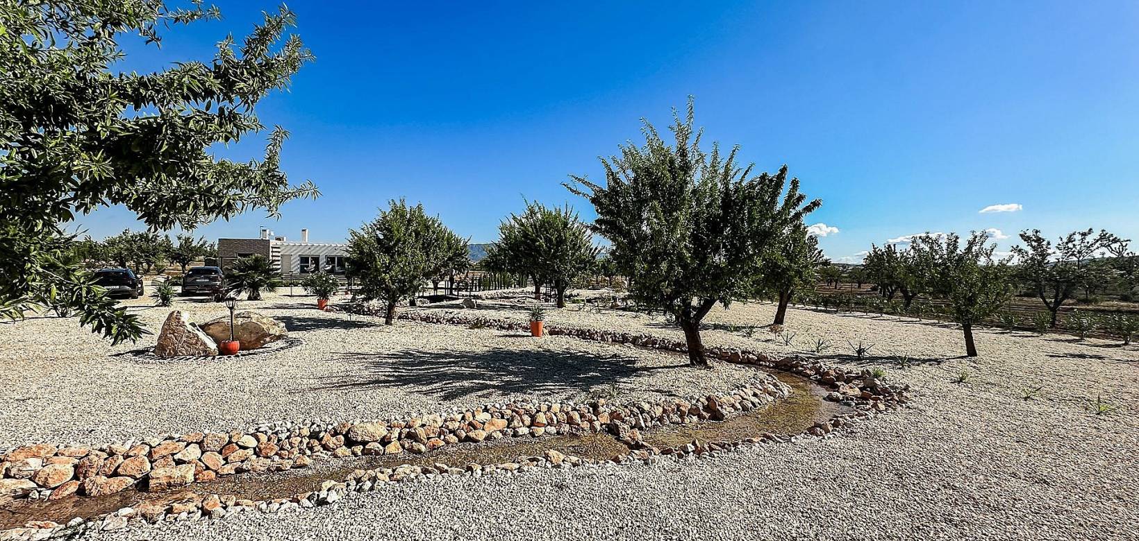 Nieuw gebouw - Villa - Pinoso - 